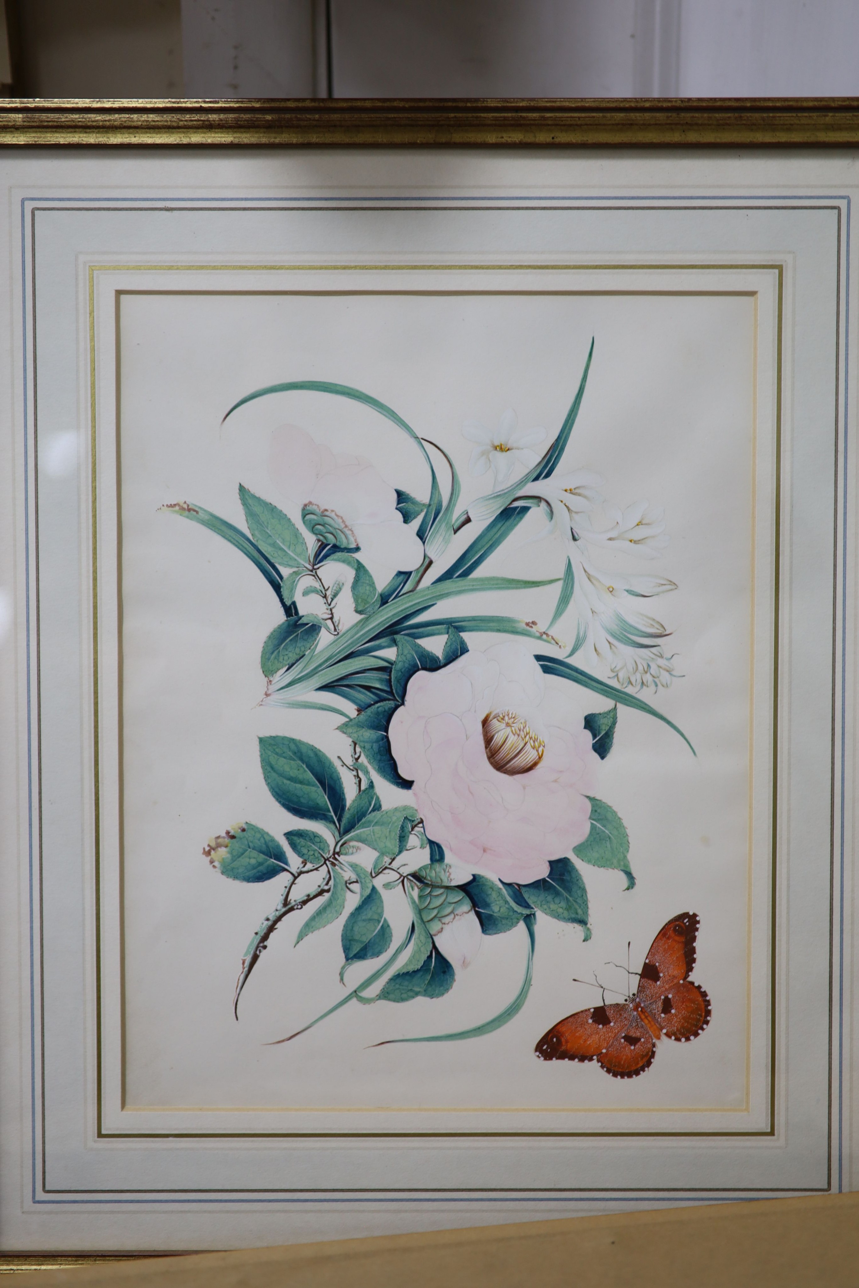 19th century English School, a set of eight watercolour and gouache botanical studies with butterflies, 20 x 27cm